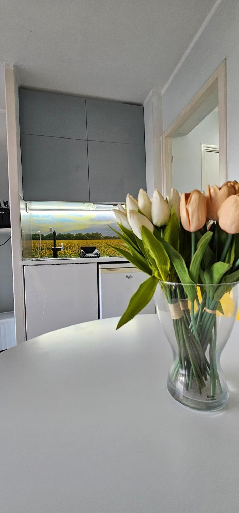 Affitto-nizza Appartement Nice